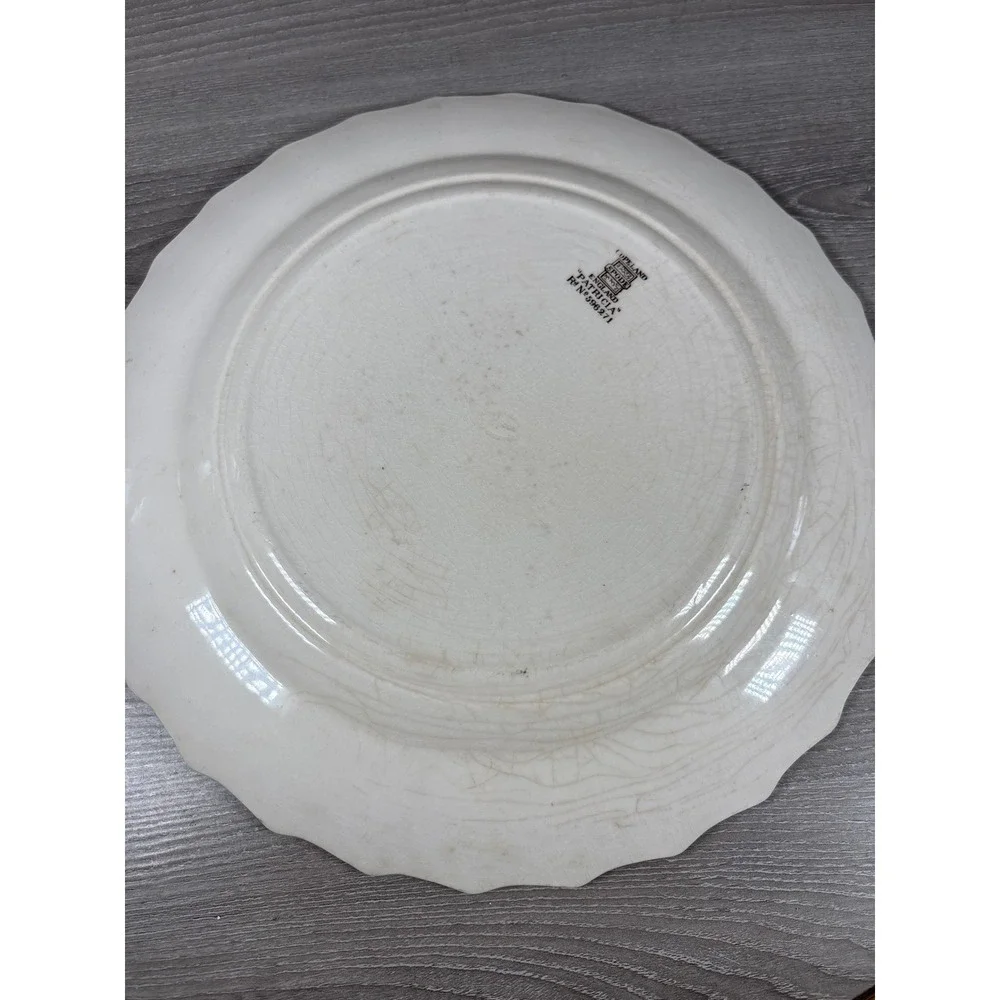 Copeland Spode Patricia Dinner Plate Floral Chintz‎ Scalloped Edge England 10 in
